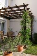  Treehouse Πέργκολα - Deck - Στέγη - Ειδικές εφαρμογές - Κατασκευές Κήπων Πέργκολες 